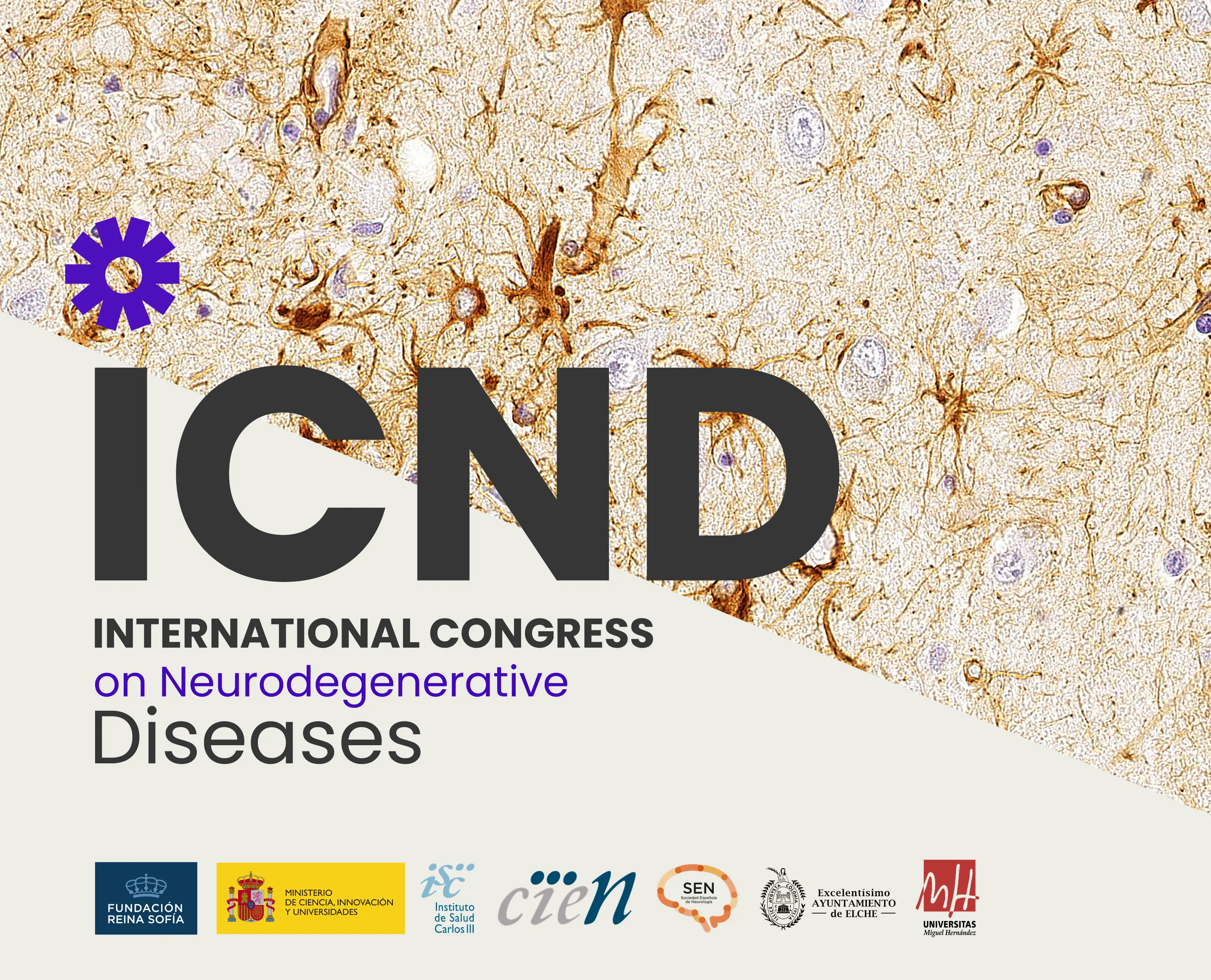 International Congress on Neurodegenerative Diseases