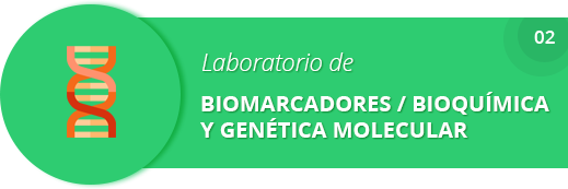Laboratorio de Biomarcadores / Bioquímica y Genética Molecular