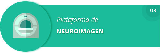 Plataforma de Neuroimagen