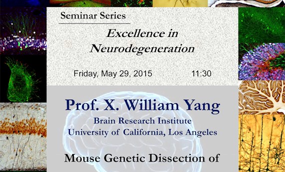 "Mouse Genetic Dissection of Huntington's Disease Pathogenesis in vivo"