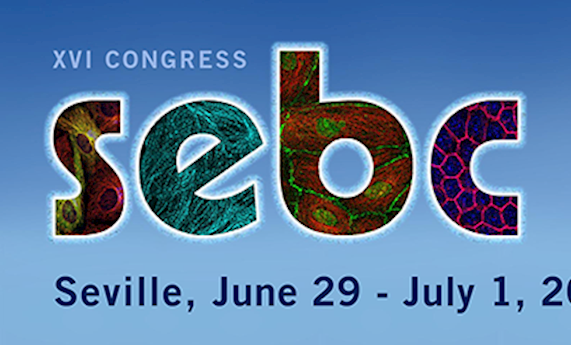 XVI Congreso de la Sociedad Española de Biología Celular (SEBC)