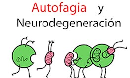 Jornada Científica sobre Autofagia y Neurodegeneración