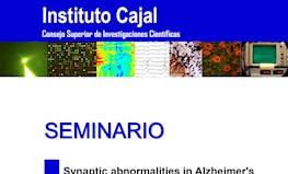 Seminario "Synaptic abnormalities in Alzheimer's disease and other neurodegenerative diseases"