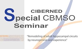 Dr. Alejandro Schinder: "Remodeling of adult hippocampal circuits by neurogenesis and experience", Special CBMSO Seminar