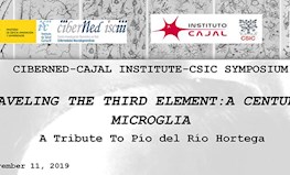 Unraveling the third element: a century of microglia